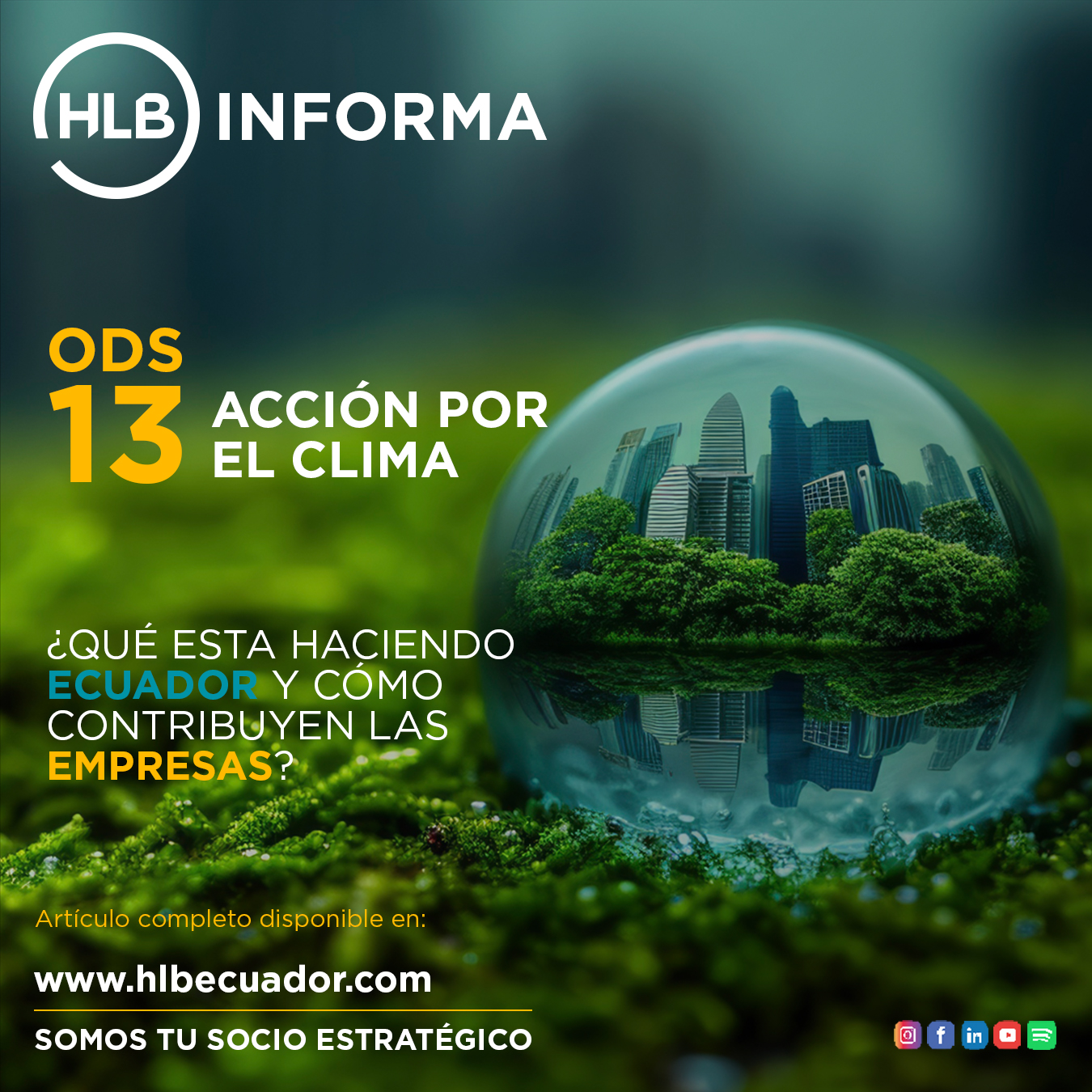 ODS 13