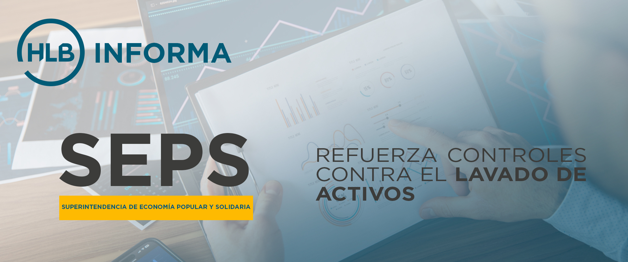 SEPS BANNER
