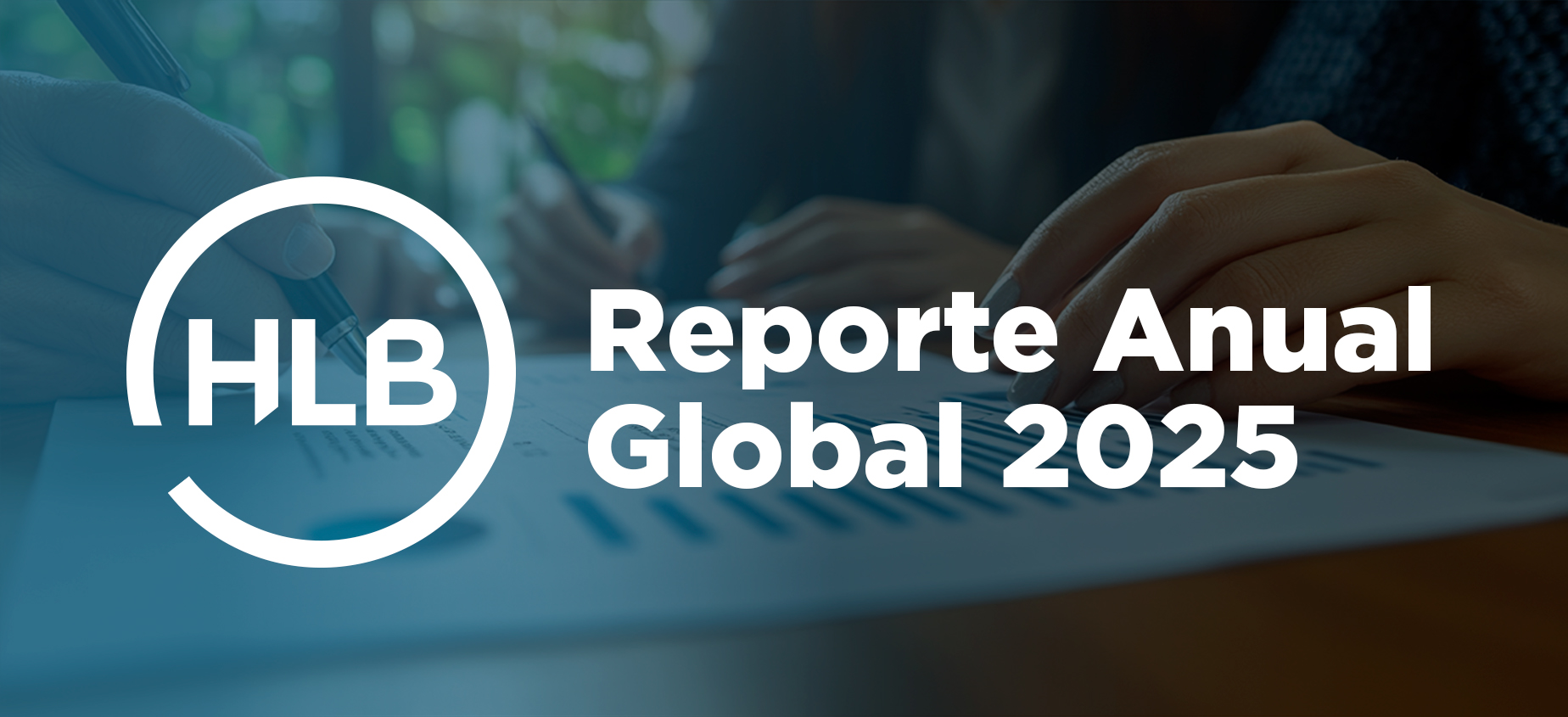 REPORTE GLOBAL ANUAL 2025B